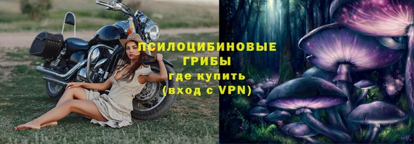 apvp Магас