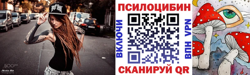 Галлюциногенные грибы Psilocybe  купить   Юрга 